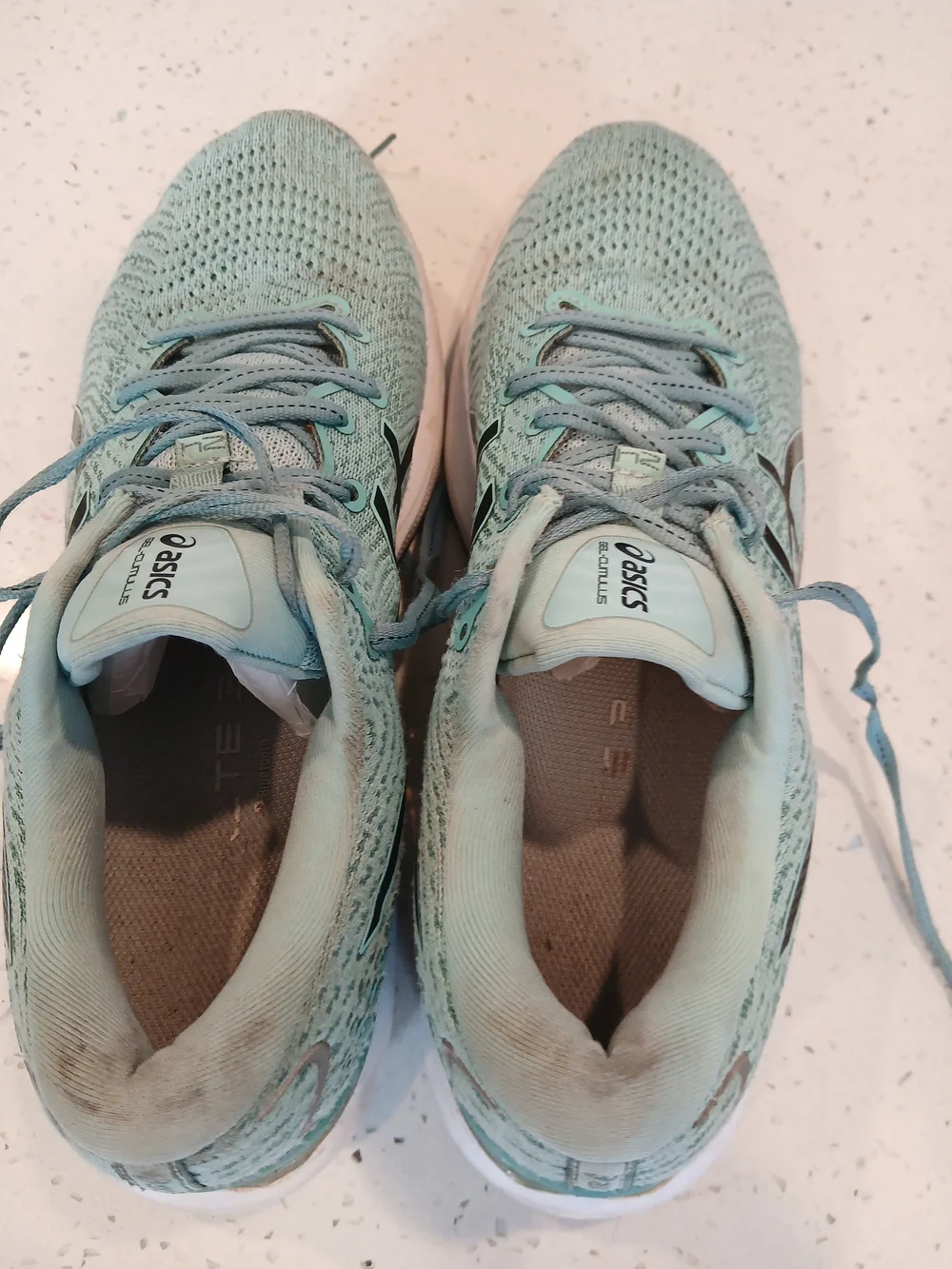 Size 11 - Asics Gel Cumulus 24 Oasis Green W